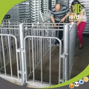 Durable Individual Pig Gestation Crate Using in Modern Pig Farm