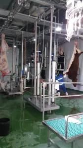 Cattle Slaughter Machine for Cattle Abattoir Equipment