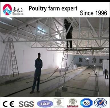 High Broiler Chicks Rate Automatic Poultry Farm
