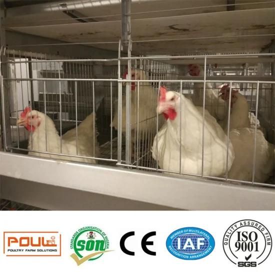 Broiler Cage for Poultry Farm on Sale Over The World