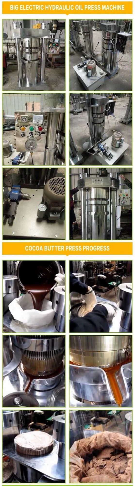 Hot Selling Nigeria Coconut Oil Processing Prickly Pear Seed Oil Extraction Machine