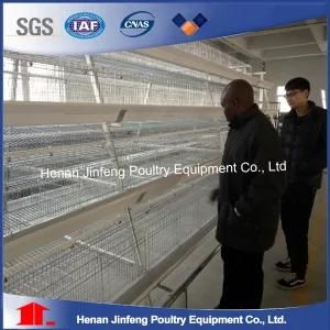 a Frame Layer Battery Cage System with Manure Belt