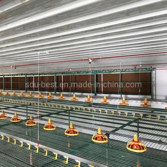 Galvanized Structure Israel Prefab House Automatic Poultry Shed with Feeder and Drinker