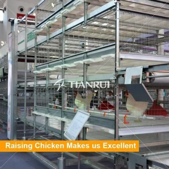 Automatic broiler chicken farm cage for sale in Philippines