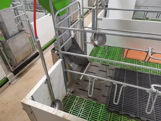 Modern Farm Customized High Quality Farrowing Crates
