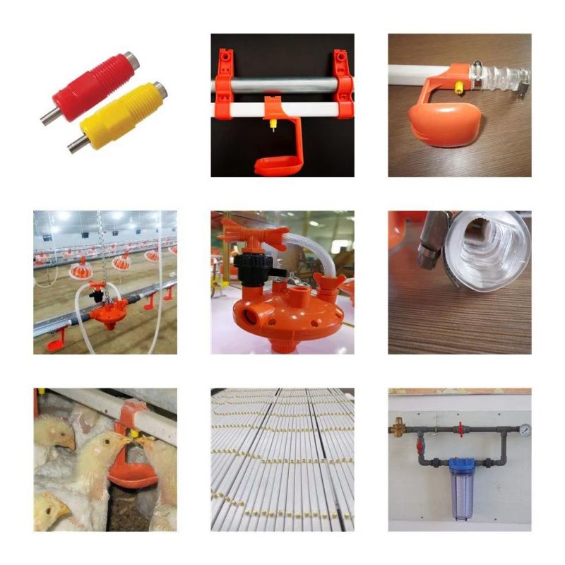 Advanced Automatic Broiler Chicken Nipple Drinkers for Farming House