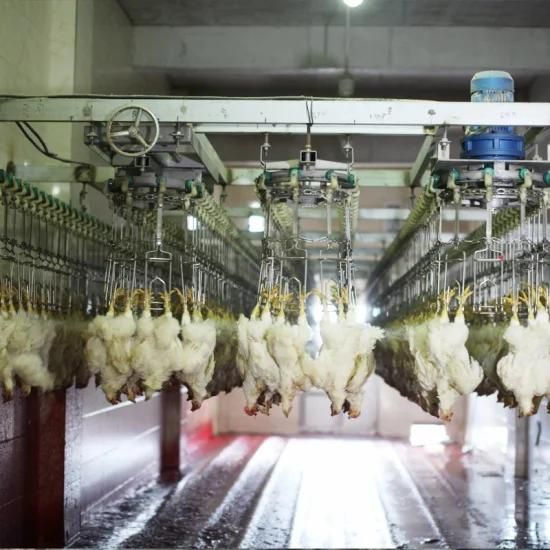 Automatic Chicken Slaughterhouse 500bph Halal Chicken Slaughtering Machine for Slaughter ...