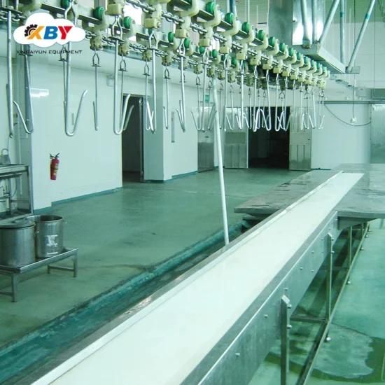 Africa Used Chicken Slaughterhouse Equipment Small Scale Poultry Processing Equipment