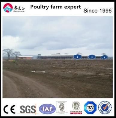 2018 Steel Structure Chicken Farm House with Equipments
