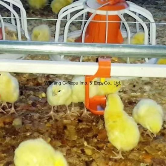Advanced Automatic Broiler Chicken Nipple Drinkers for Farming House