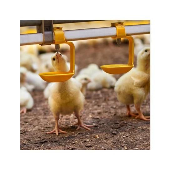 Automatic Poultry Nipple Drinkers, Chicken Nipple Drinkers, Poultry Farm Equipments China ...