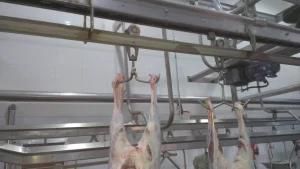 Sheep Conveyor Sheep Dehider Goat Skin Machine for Goat Slaughter Production Line