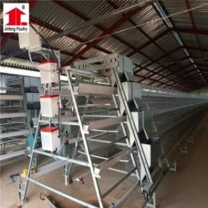 Wholesale Chicken Feeder Uses in Chicken Poultry Cage