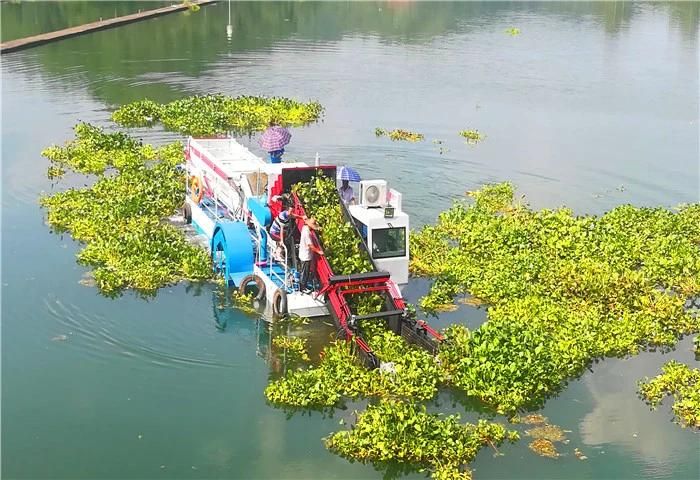 Aquatic Weed Harvesting Boat for Cleaning River Plant