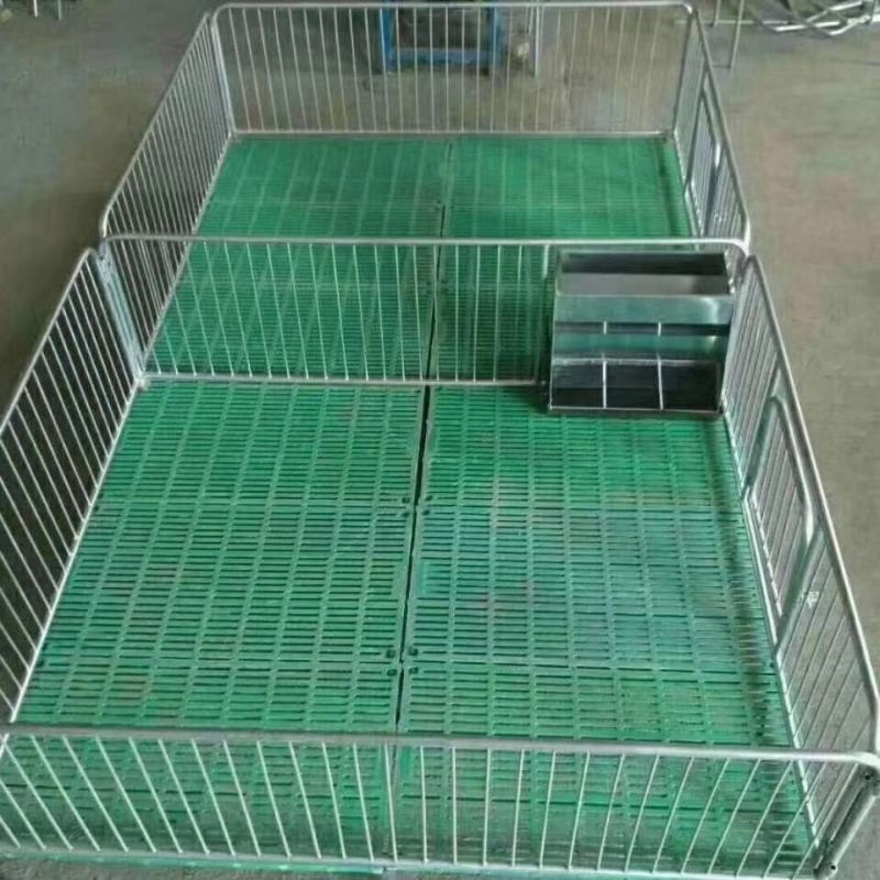 Galvanized Steel Pipe Piggery Cages Pig Farm Equipment for Sale
