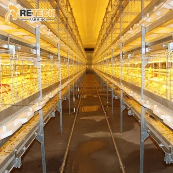 Good Price Automatic Chicken Poultry Farming Broiler Cage System
