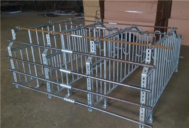 Low Price Breeding Equipment Sow Cage Pig Farm in India for Sale