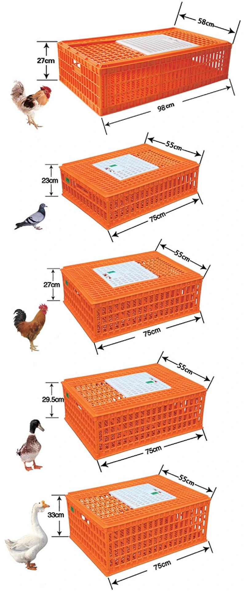 Plastic Live Bird Chicken Pigeon Duck Goose Transport Crate Poultry Carrying Box Cage (SC02)