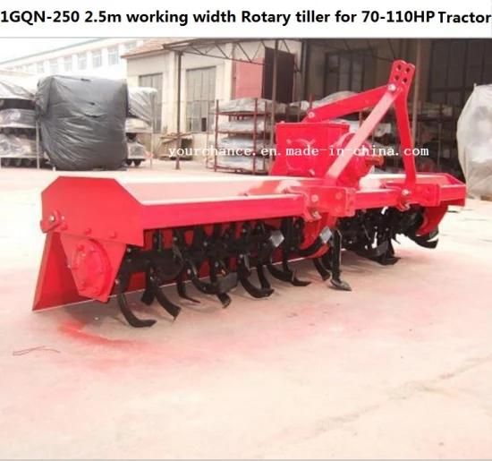 Ukraine Hot Selling Farm Machinery 1gqn-250 2.5m Width Rotary Tiller Cultivator for ...