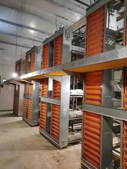 Shandong Chicken Cages Layer 128 Poultry Farming Chicken Cage