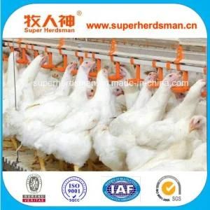 Automatic Poultry Equipment Drinking Nipple with Dosing Device