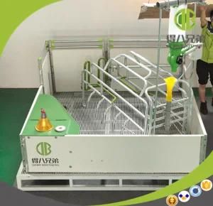 High Strengh Galvanized Farrowing Crates for Pig for Sale