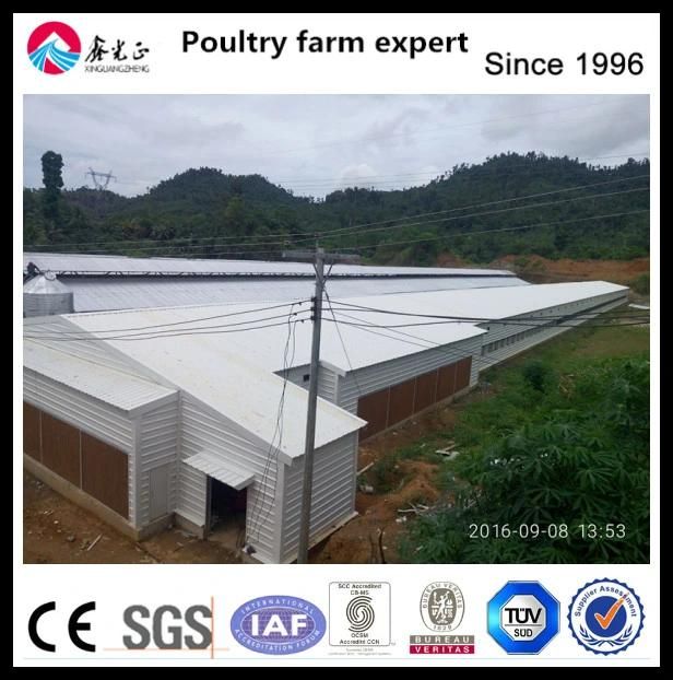 Factory Direct Sale Broiler Poultry Farm House Design with Broiler Poultry Farm Equipment