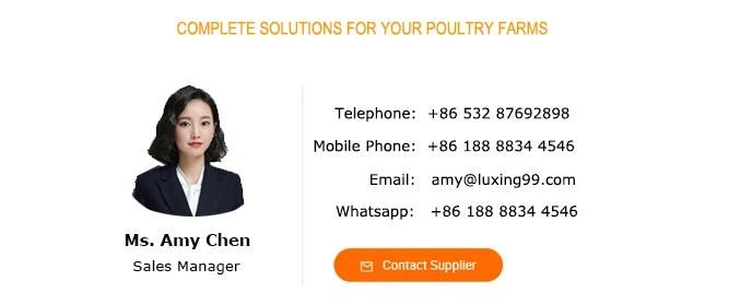 Saudi Arabia Poultry Battery Layer Chicken Cage/Uganda Poultry Farm Automatic Chicken Layer Cage