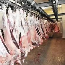 Full Set of Sheep Slaughterhouse with Meat Cutting and Packing