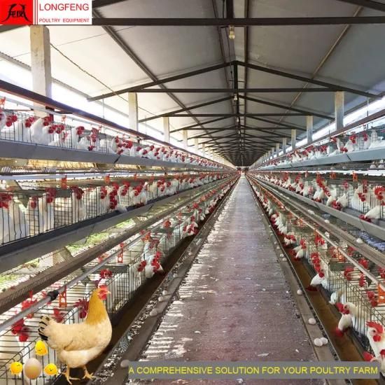 Longfeng on-Site Installation Instruction Factory Price 430cm2 or 450cm2 Chicken Farm ...
