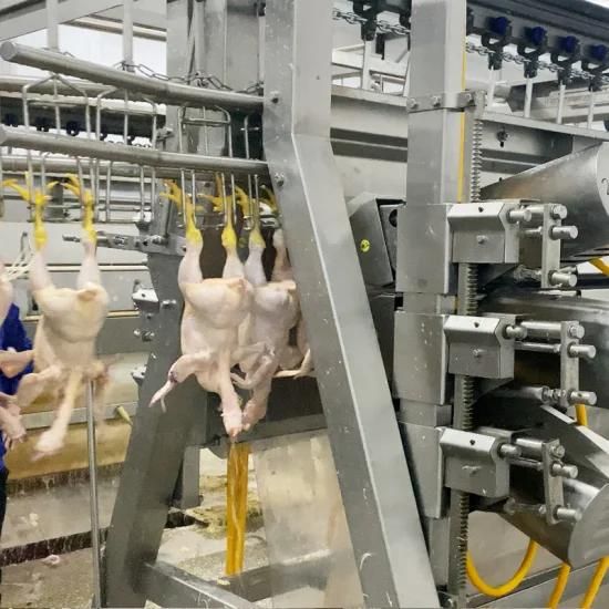 Poultry Slaughterhouse Chicken Slaughtering Feather Plucking Production Line