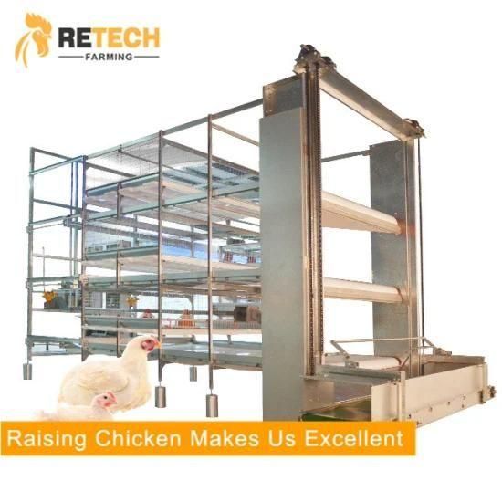 Poultry farm chicken floor ground raising equipment with 20000 chickens