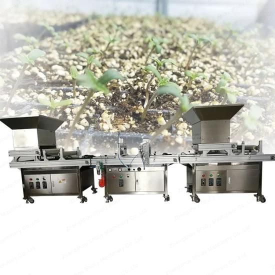 Automatic Nursery Tray Seeder Multi Vegetable Seed Sowing Machine
