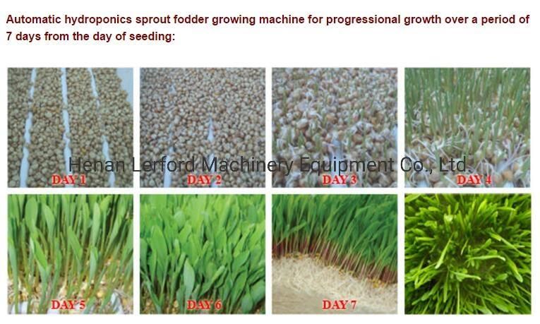 Farm Used Hydroponic System Green Fodder Sprouting Growing Machine Green Grass Making Machine