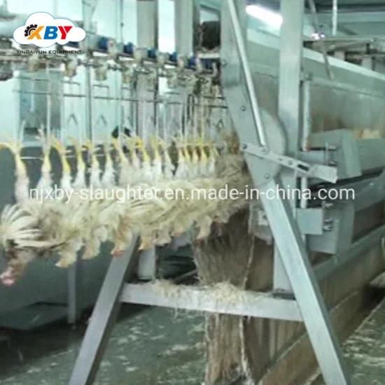 Russia Halal Poultry Slaughter Chicken Meat Processing Equipment Chicken Feather Plucking ...