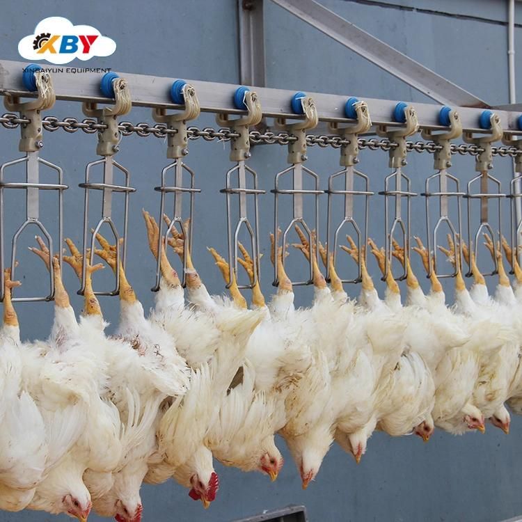Birds on Line Plucking Equipment Chicken Feather Removal Machine for Poultry Slaughterhouse
