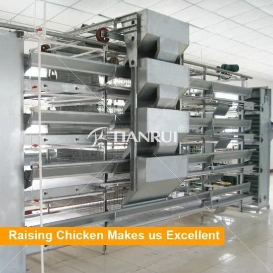 Chicken egg poultry farm equipment automatic layer battery chicken cage