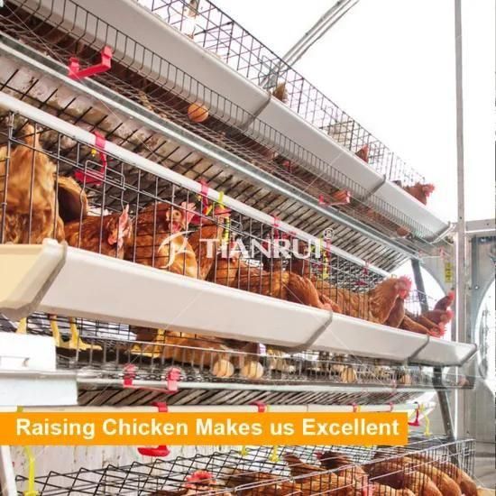 Hot Selling A Frame Automatic Layer Poultry Cages In Nigeria