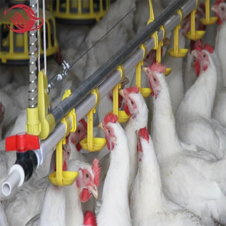 Galvanized Automatic Chicken Breeding Feeding System Equipment Feeder and Drinkers