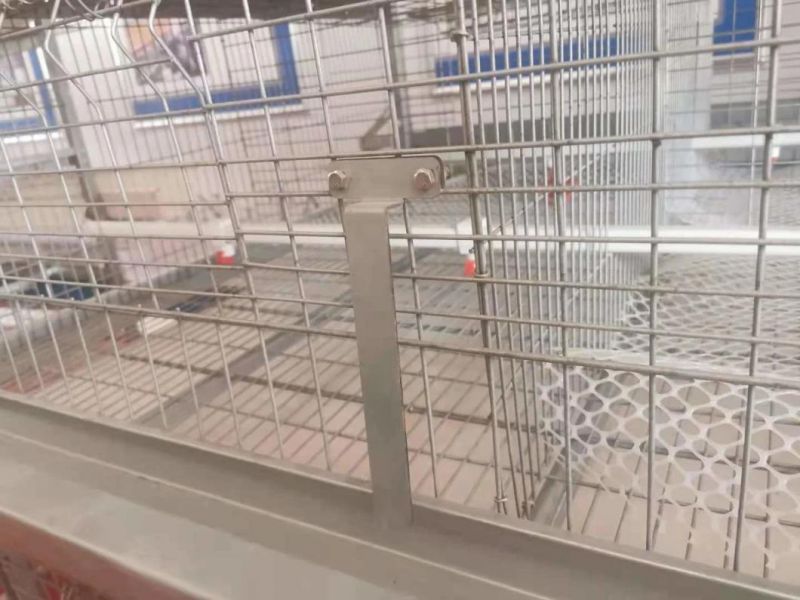 H Type Galvanized Chicken Pullet Cage for Africa Poultry Farm Cage
