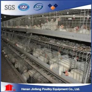 Jinfeng a Type Floor Saving Broiler Chicken Cage for Sale