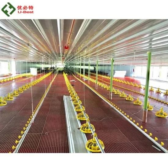 Low Cost Steel Chicken Broiler House Construction with Poultry Shed Farm Equipment