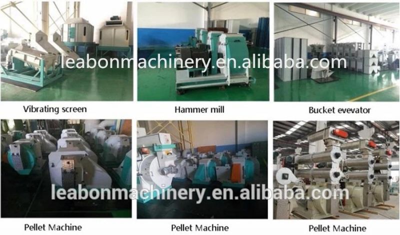 Nigeria 2000kg/H Feed Processing Machines Pig Feed Pellet Machine Sale