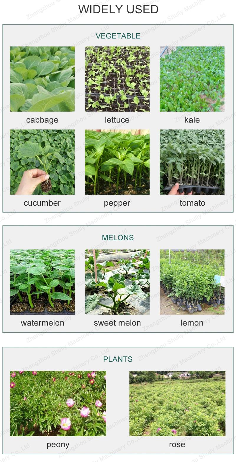 Time Saving and Labor Saving Lettuce Seed Transplanters Tobacco Transplanter