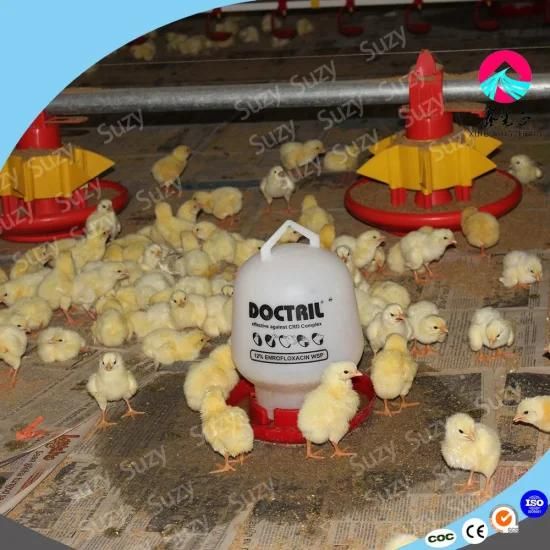 Full Set Poultry Farm Equipment for Broilers