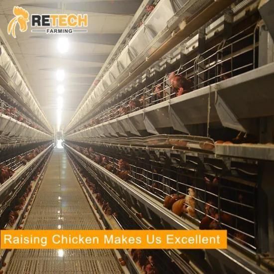 Popular H Type Layer Chicken Poultry Equipment for Sale