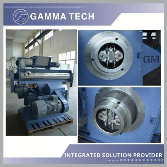 5t/H Full Automatic Animal Feed Making Machine in Gamma Tech