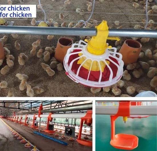 Manufacturer Modern Poultry Equipment for Chicken/Broiler/Breeder