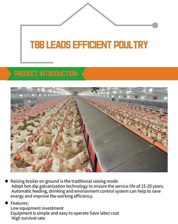 Manufacturer Poultry Farm Equipment Floor Feeding System with High Quality