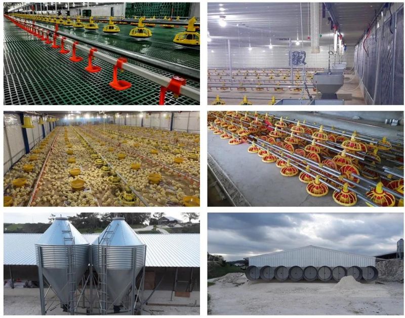 Poultry Farming Equipment Broiler Cage Chicken Ground Floor Rearing System for Sale